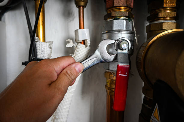 Best Local Plumber Services  in Burton, OH